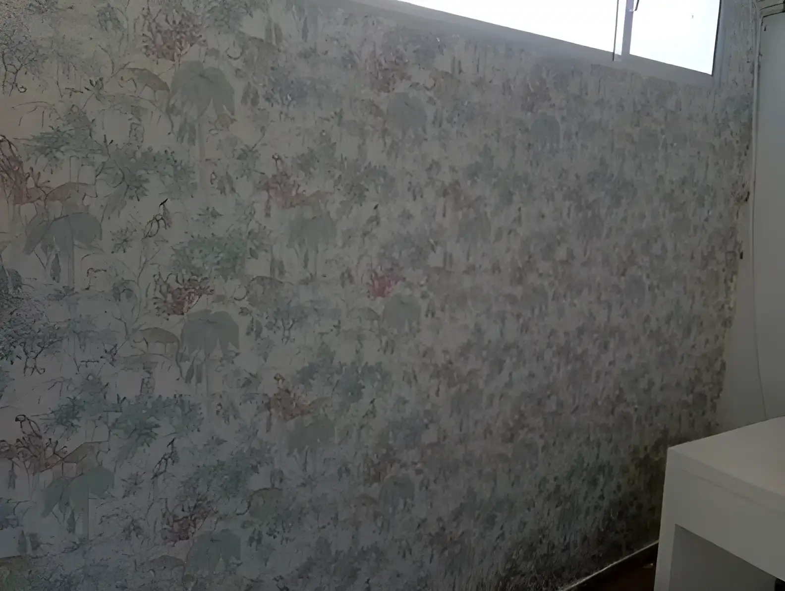 Los Pintores Marbella colocando papel pintado decorativo en pared completa de habitación